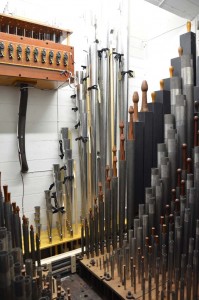 Waldhorn pipes at the back of the Swell under the top note chest